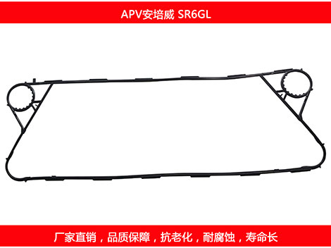 SR6GL 国产板式妖精网站免费观看密封垫片