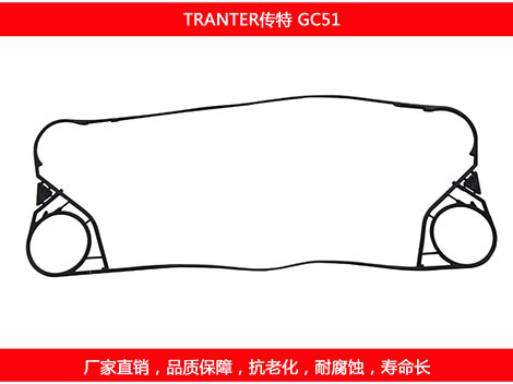 GC51 国产板式妖精网站免费观看密封垫片